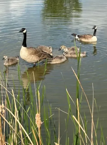 $625,000 | 715 Northridge Way, West Fargo, ND 58078