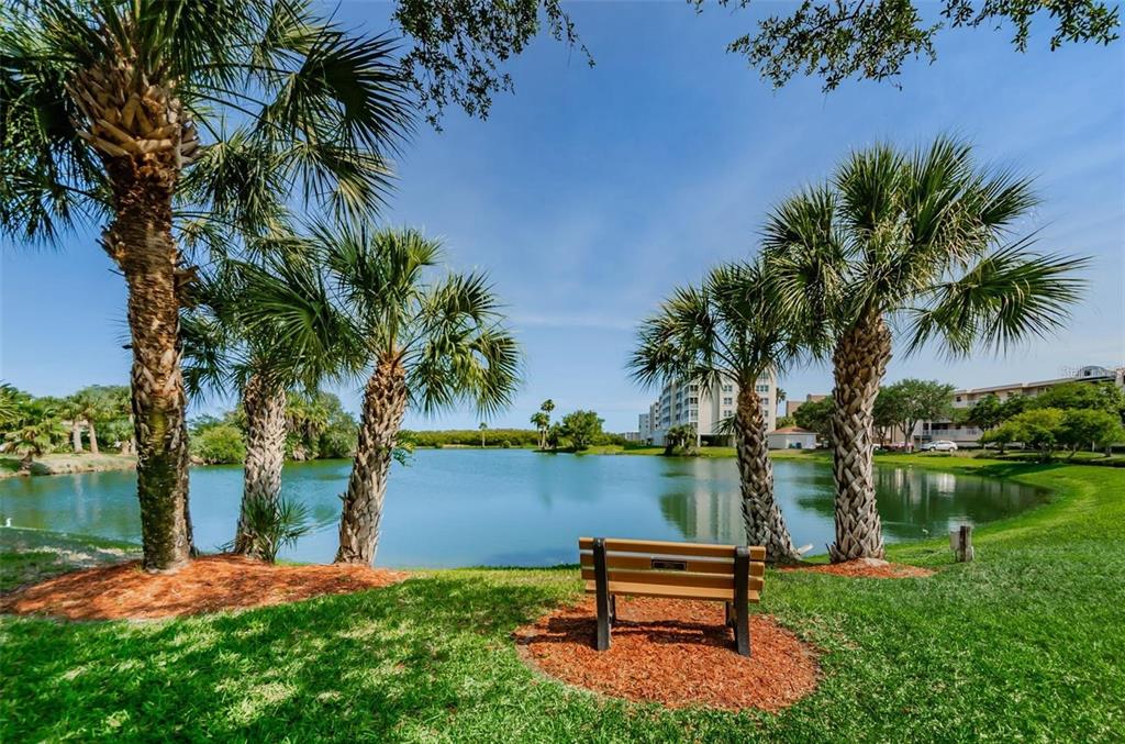 10032 65th Avenue North, Unit 24 St. Petersburg, FL 33708 - Photo 41 of 56 a wooden bench sitting next to a lake with a big yard