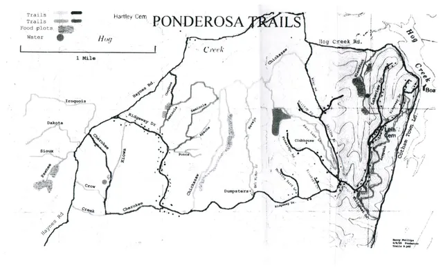 a picture of a plant