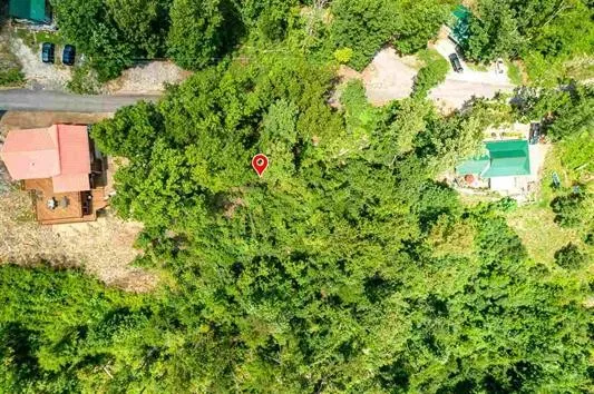 a view of a house with a tree