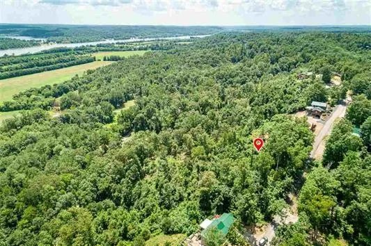 a view of a green field with lots of bushes