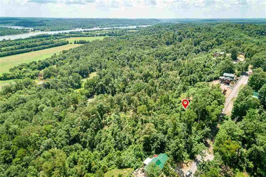 0 Ridgeway Drive Sugar Tree, TN 38380 - Photo 5 of 12 a view of a green field with lots of bushes