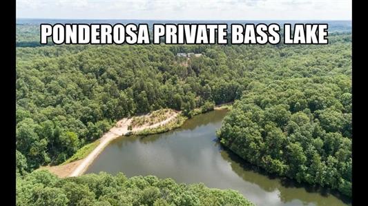 0 Ridgeway Drive Sugar Tree, TN 38380 - Photo 9 of 12 a view of a yard with wooden fence