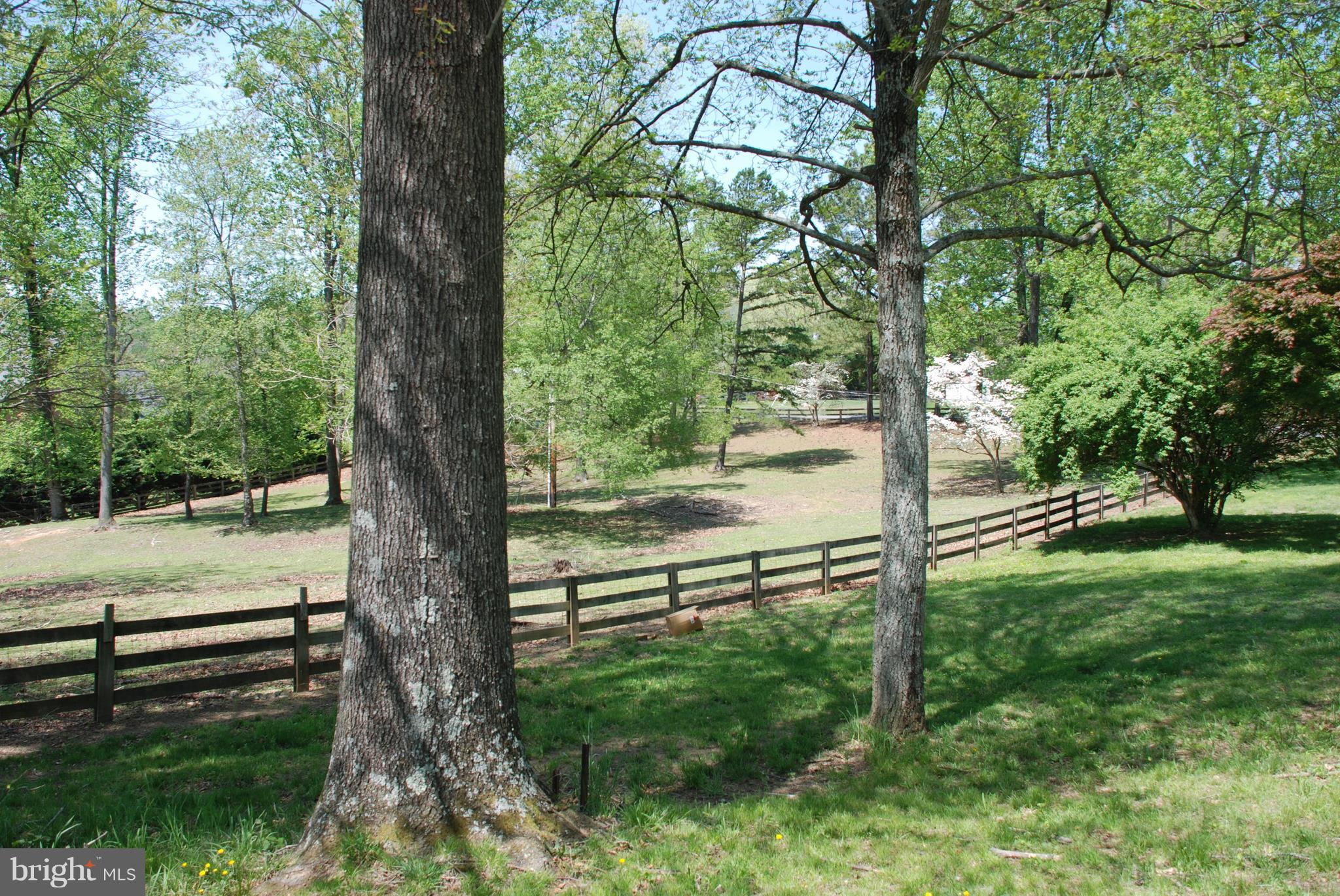 30 Hope Hill Road Castleton, VA 22716 - Photo 15 of 16 Exterior (Rear)