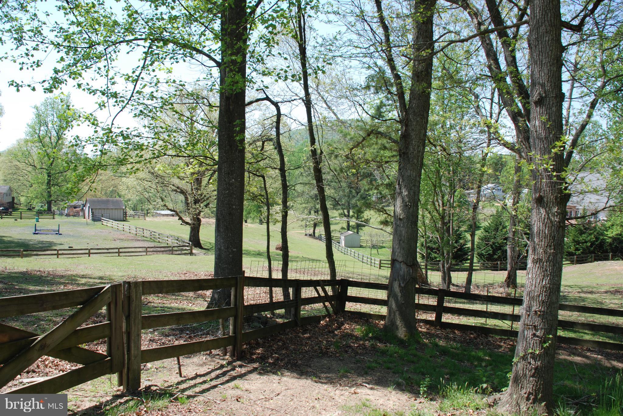 30 Hope Hill Road Castleton, VA 22716 - Photo 10 of 16 Exterior (Rear)