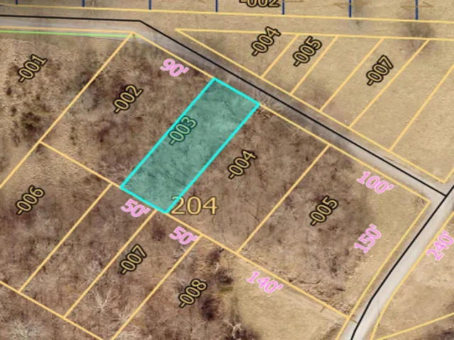 $8,000 | Tbd Dewey Street, Murphysboro, IL 62966