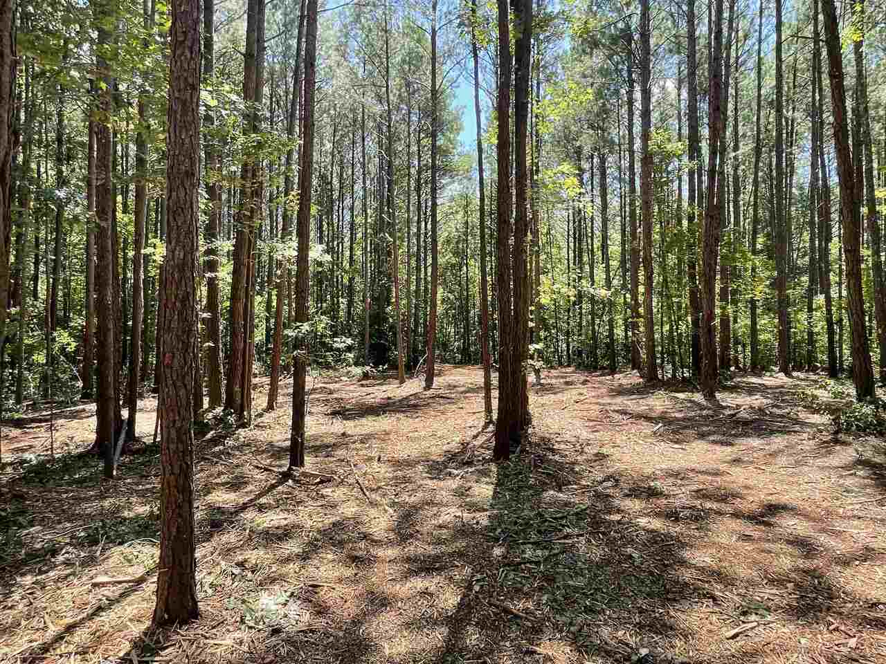 0 Center Point Road, Unit 2 Temple, GA 30179 - Photo 1 of 1 Gallery Image 1