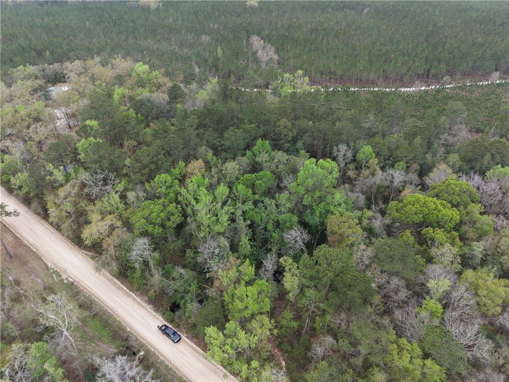 0 Barker Boulevard St. George, GA 31562 - Photo 2 of 11