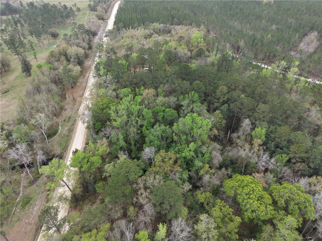 0 Barker Boulevard St. George, GA 31562 - Photo 3 of 11