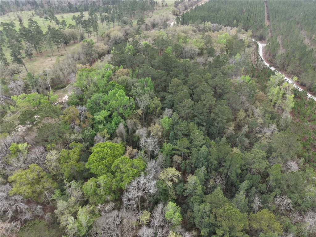 0 Barker Boulevard St. George, GA 31562 - Photo 4 of 11