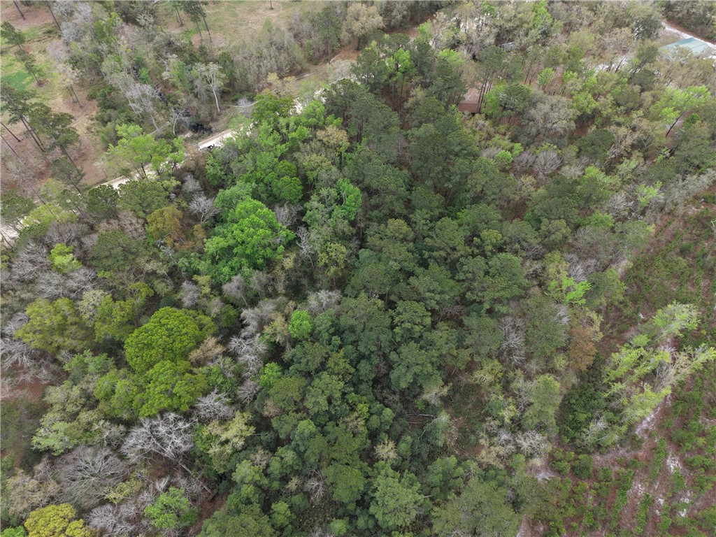 0 Barker Boulevard St. George, GA 31562 - Photo 5 of 11