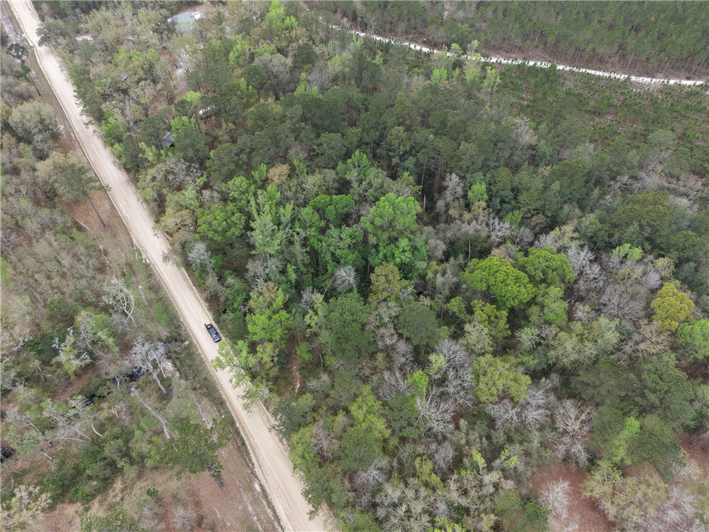 0 Barker Boulevard St. George, GA 31562 - Photo 6 of 11