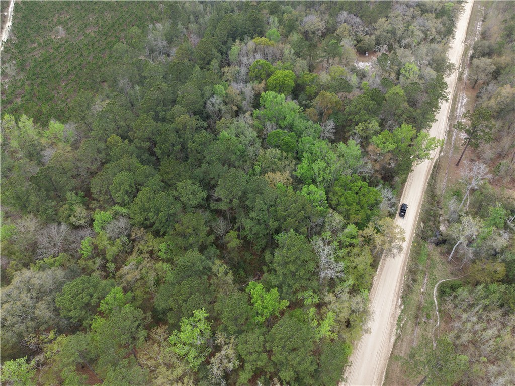 0 Barker Boulevard St. George, GA 31562 - Photo 7 of 11