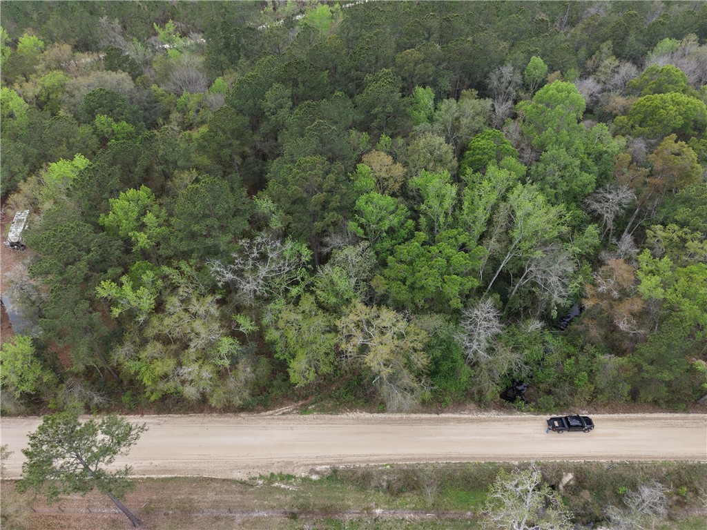 0 Barker Boulevard St. George, GA 31562 - Photo 8 of 11