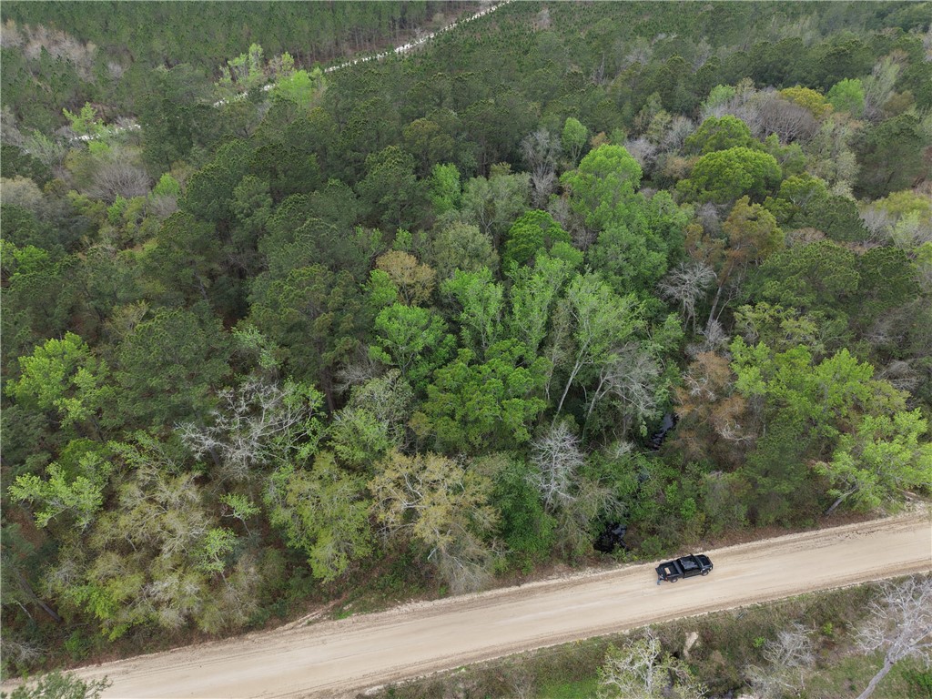 0 Barker Boulevard St. George, GA 31562 - Photo 9 of 11