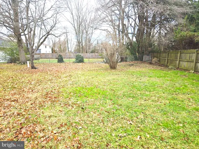 a view of yard with tree