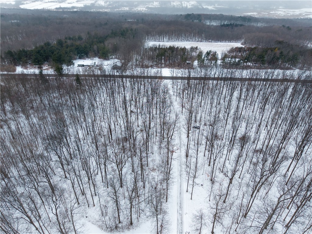 6731 Stagecoach Road Conesus, NY 14435 - Photo 44 of 50