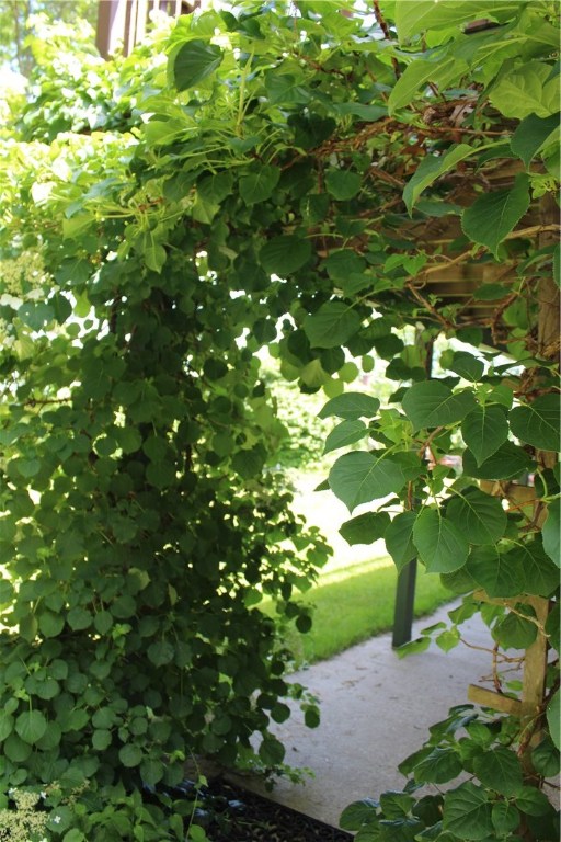 25 N Road North Kingstown, RI 02874 - Photo 28 of 39 Gallery Image 28
