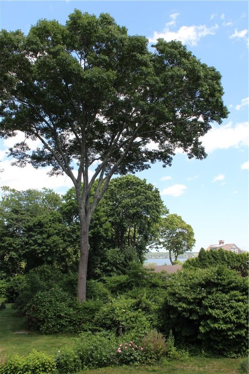 25 N Road North Kingstown, RI 02874 - Photo 35 of 39 Gallery Image 35
