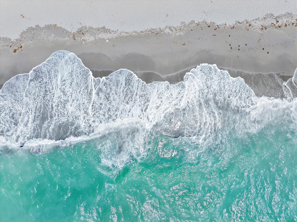 615 May Apple Way Venice, FL 34293 - Photo 84 of 94