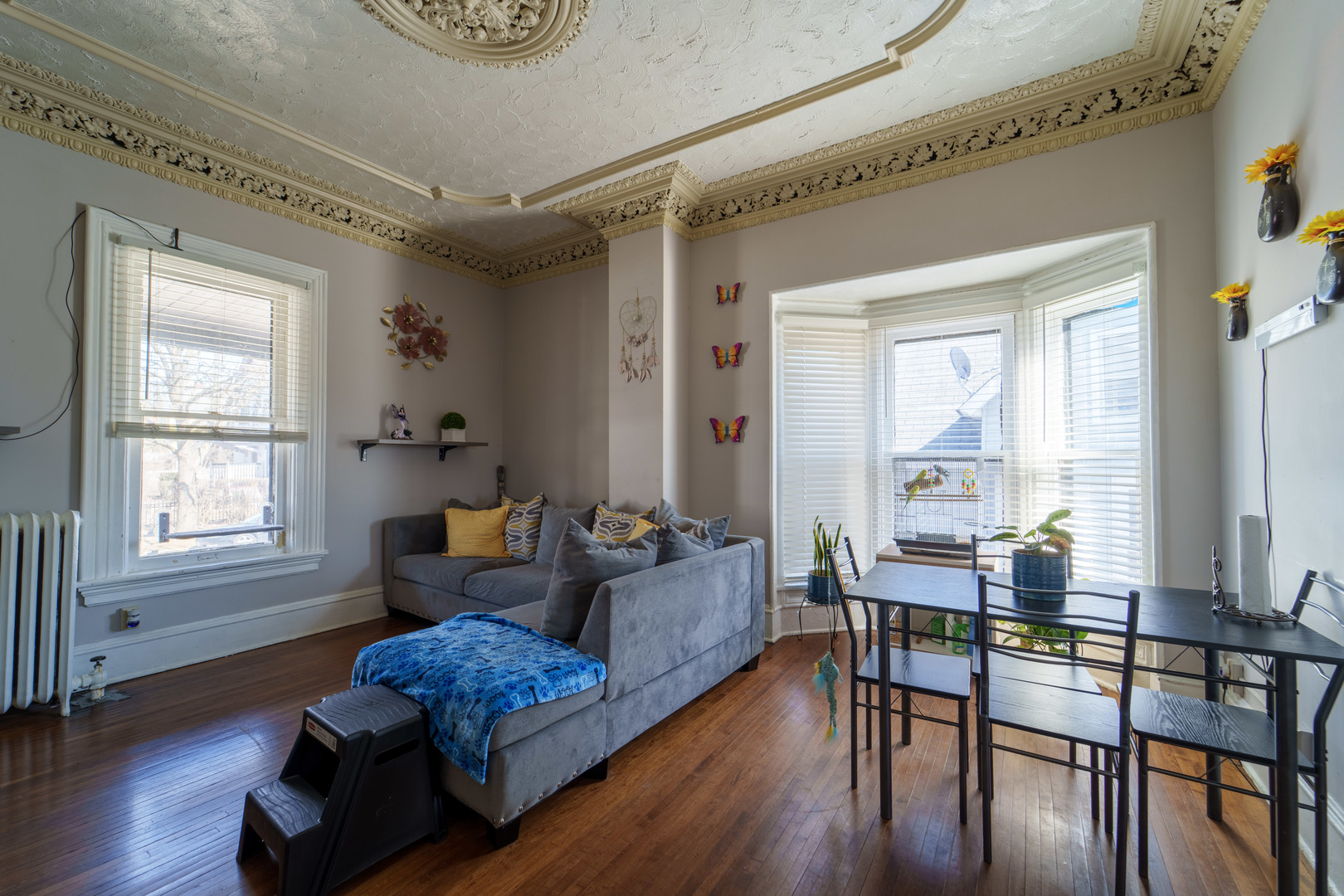 167 Cherry Street Elgin, IL 60120 - Photo 8 of 24 a living room with furniture and wooden floor