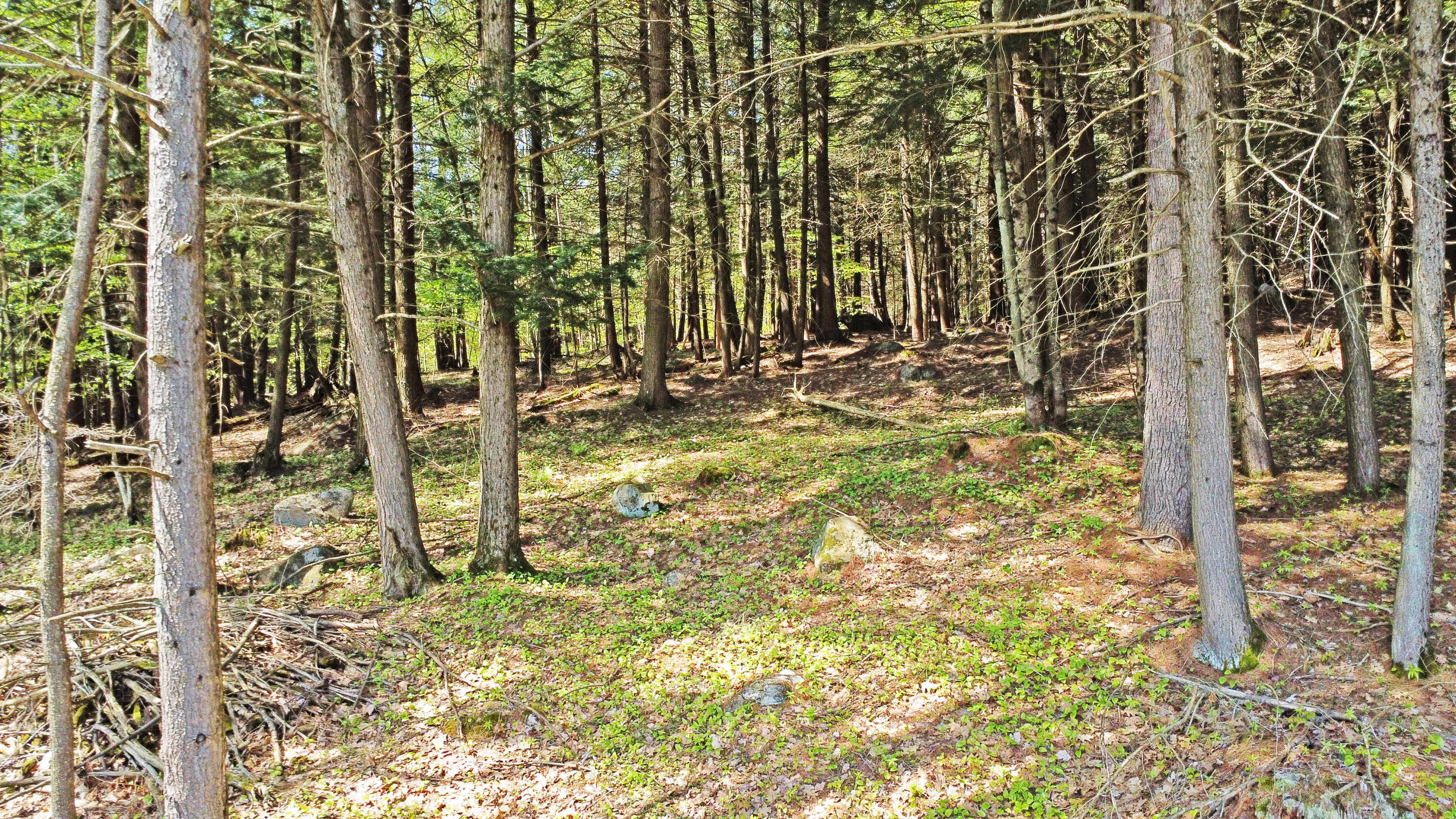 34 Veterans Street Peru, ME 04290 - Photo 4 of 41 DJI_0197