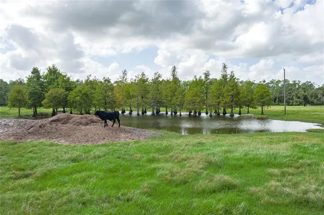 $1,550,000 | 1126 County Road 665, Ona, FL 33865