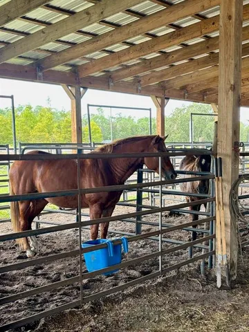 $1,550,000 | 1126 County Road 665, Ona, FL 33865