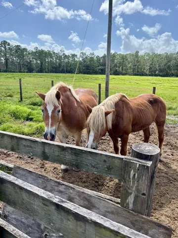 $1,550,000 | 1126 County Road 665, Ona, FL 33865