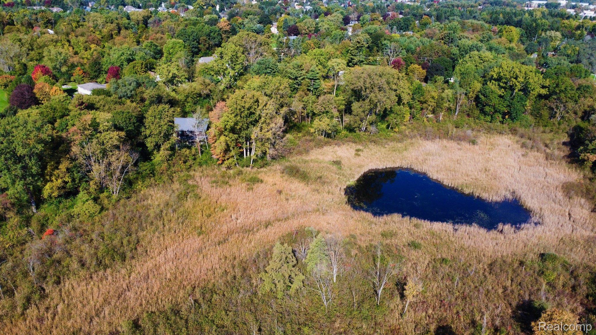 8312 Whitmore Lake Road Brighton, MI 48116 - Photo 13 of 43 Aerial depiction of a natural pond surrounded by tall grasses, bordered by varied foliage
