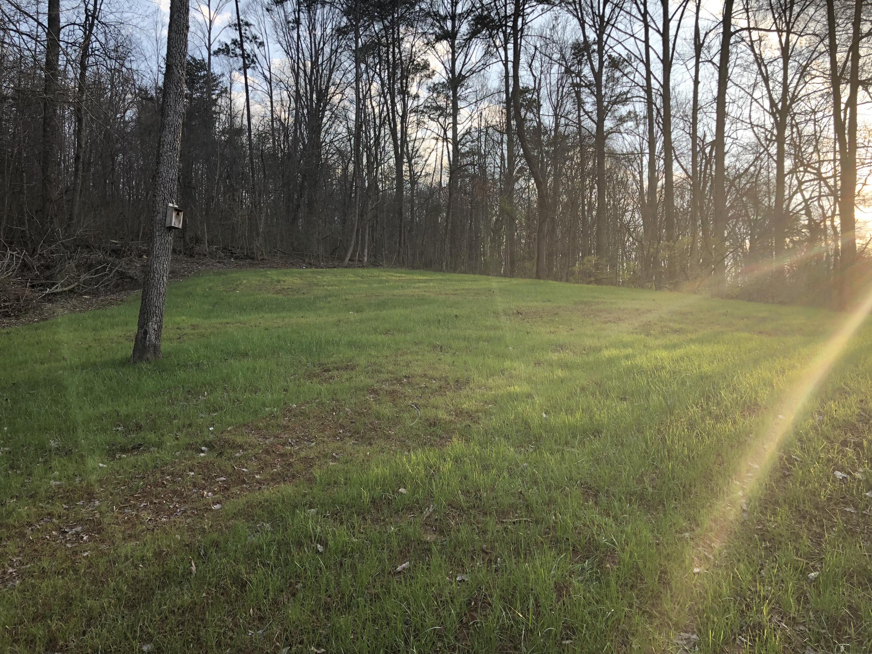 245 Parker Road Morristown, TN 37813 - Photo 5 of 14 Photo Mar 15, 6 40 55 PM