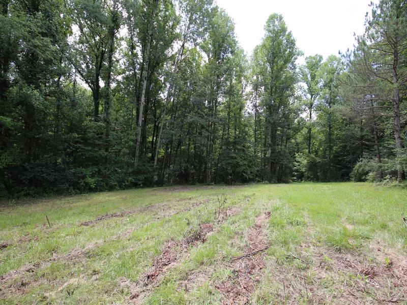 0 Washboard Road Bloomfield, IN 47424 - Photo 2 of 12