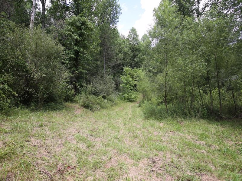 0 Washboard Road Bloomfield, IN 47424 - Photo 3 of 12