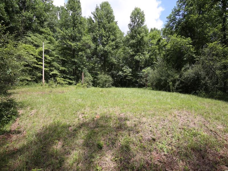 0 Washboard Road Bloomfield, IN 47424 - Photo 4 of 12