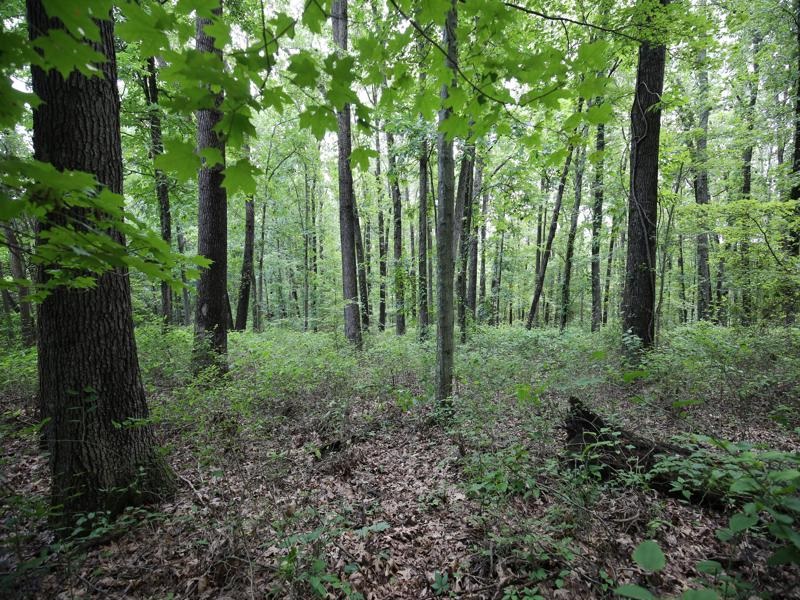 0 Washboard Road Bloomfield, IN 47424 - Photo 8 of 12