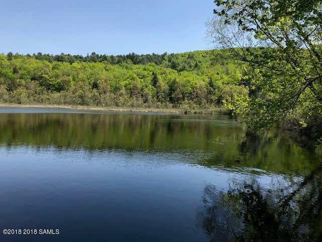 0 Valley Farm Road Pottersville, NY 12860 - Photo 1 of 9 Photo 1