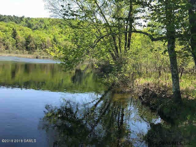 0 Valley Farm Road Pottersville, NY 12860 - Photo 6 of 9 Photo 6