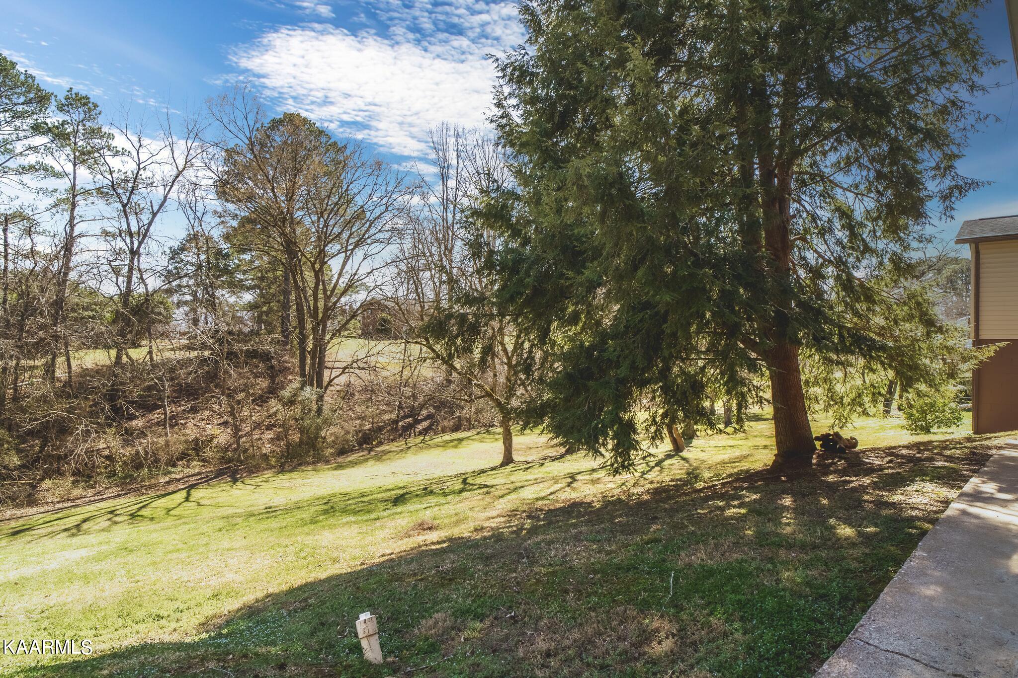 209 Y Road Sevierville, TN 37862 - Photo 8 of 45 A7307044-HDR