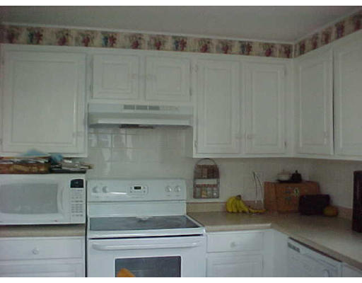 45 Elmore Avenue Springfield, MA 01119 - Photo 5 of 9 Gallery Image 5