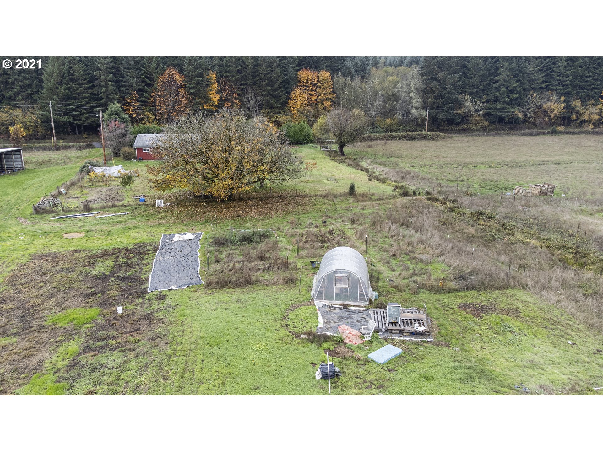 89043 Poodle Creek Road Noti, OR 97461 - Photo 31 of 32 Gallery Image 31