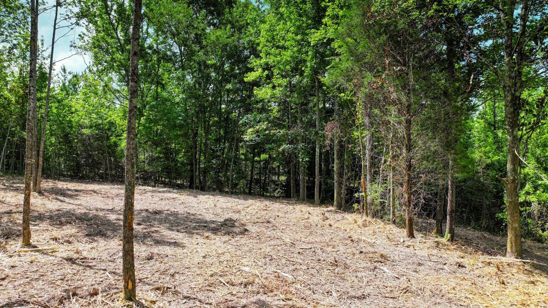 0 Davis Hollow Road Minor Hill, TN 38473 - Photo 19 of 23