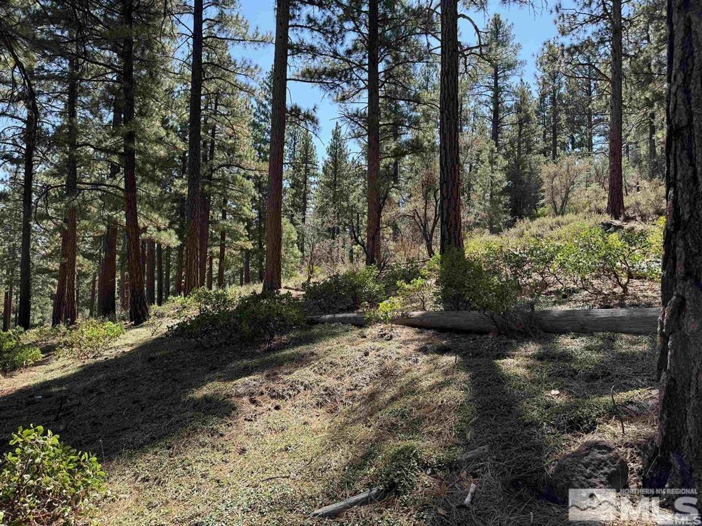 370 Abies Road, Unit 3 Reno, NV 89511 - Photo 14 of 20 Photo 15