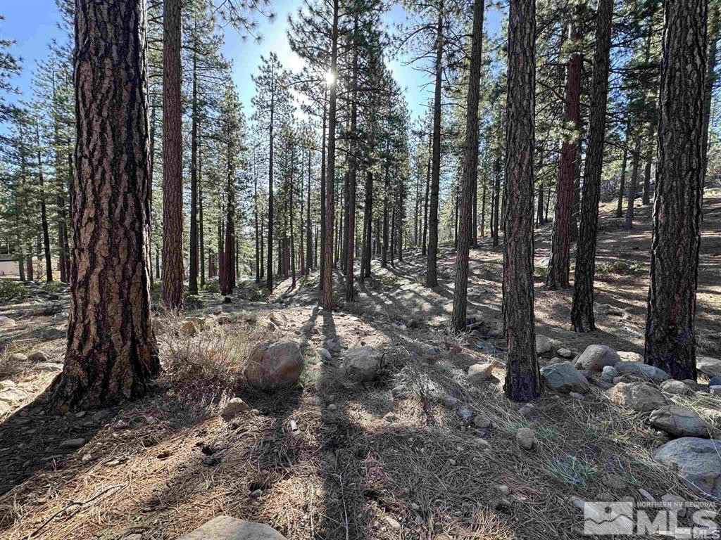 370 Abies Road, Unit 3 Reno, NV 89511 - Photo 17 of 20 Photo 18