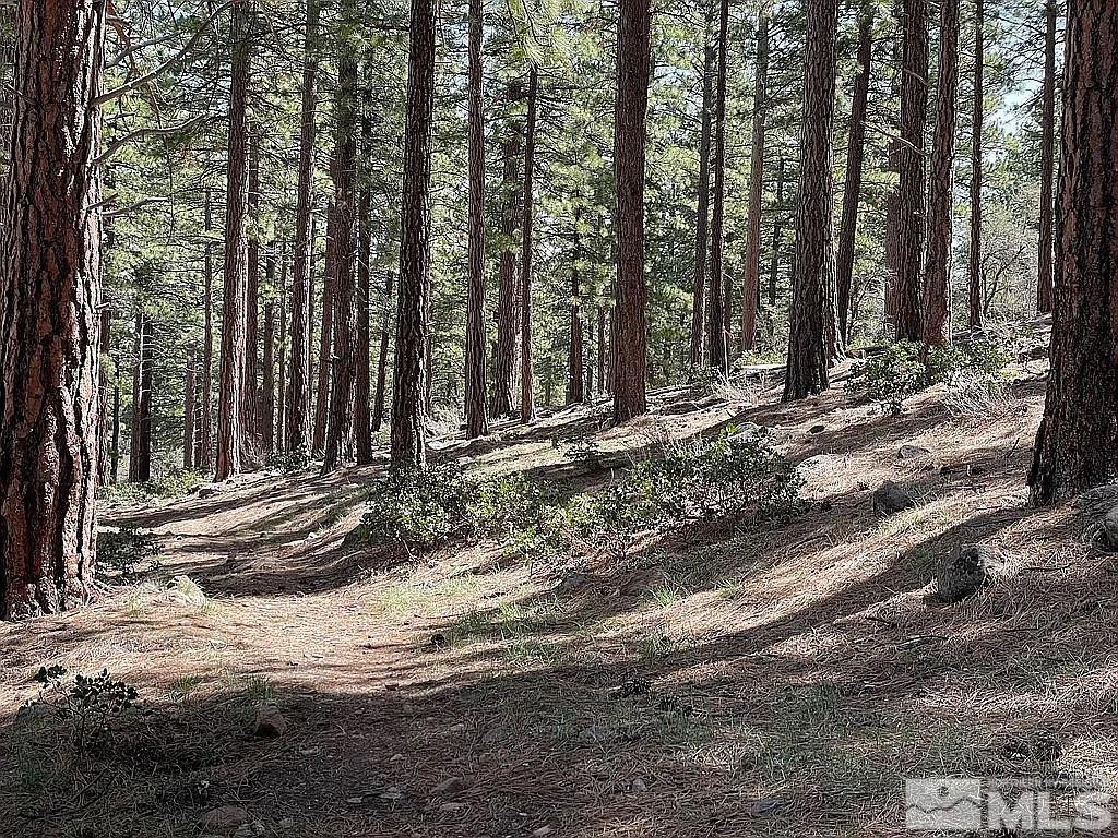 370 Abies Road, Unit 3 Reno, NV 89511 - Photo 2 of 20 Photo 2