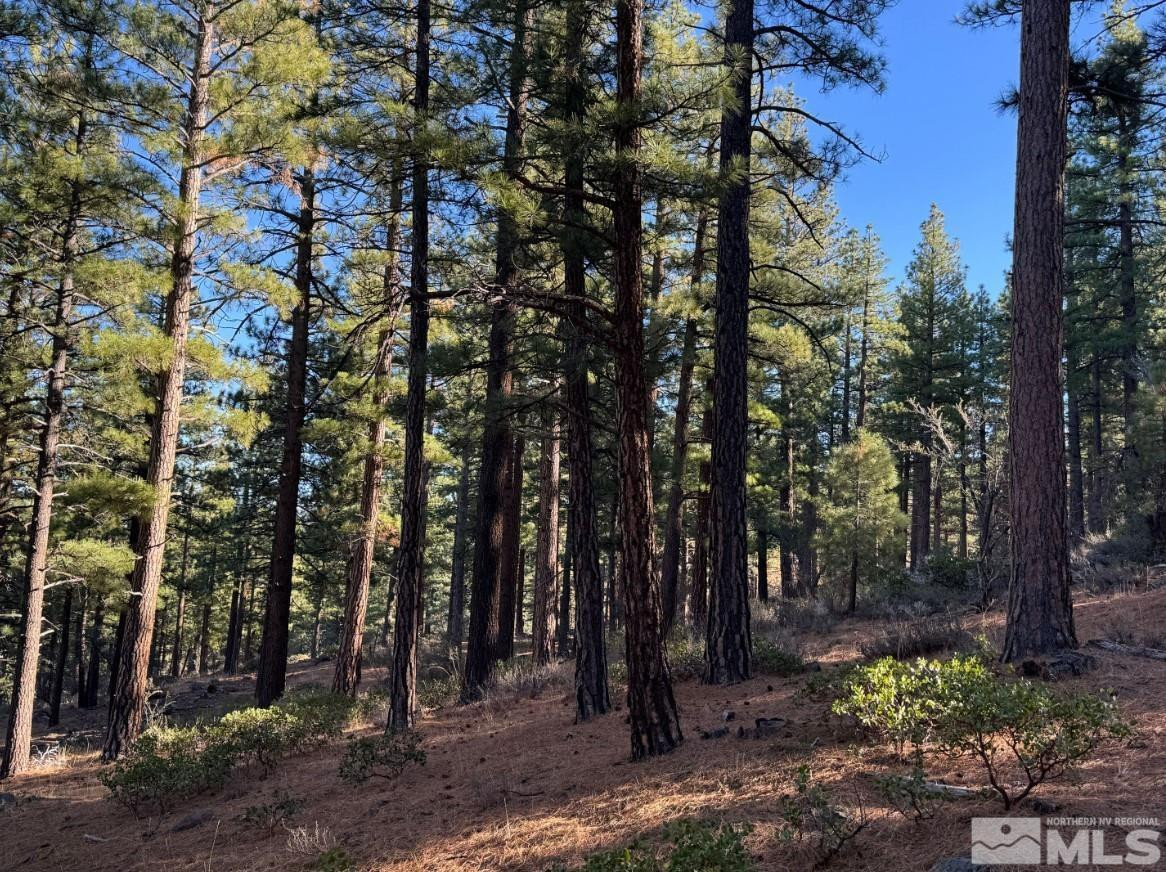370 Abies Road, Unit 3 Reno, NV 89511 - Photo 4 of 20 Photo 4