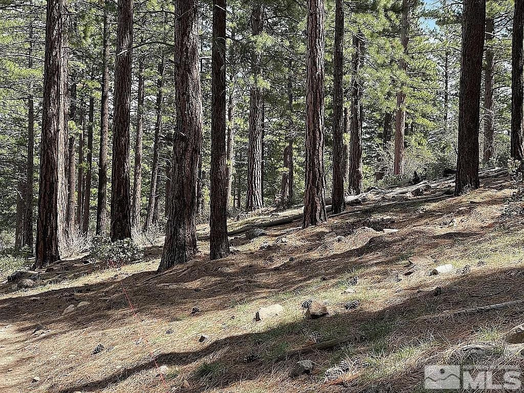 370 Abies Road, Unit 3 Reno, NV 89511 - Photo 7 of 20 Photo 7