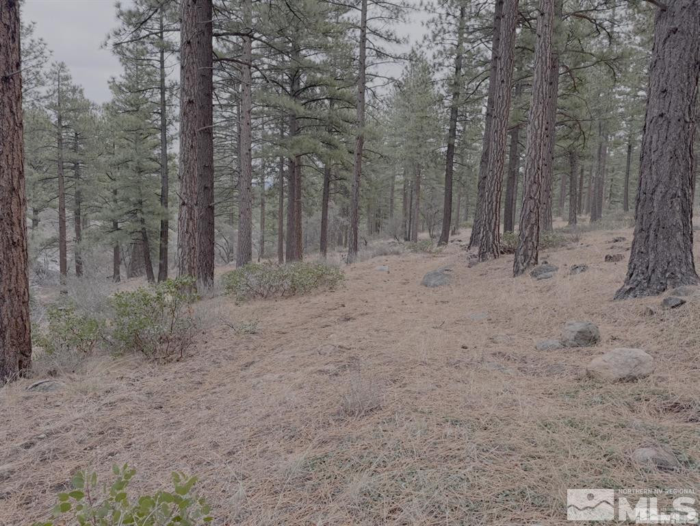 370 Abies Road, Unit 3 Reno, NV 89511 - Photo 10 of 20 Photo 10