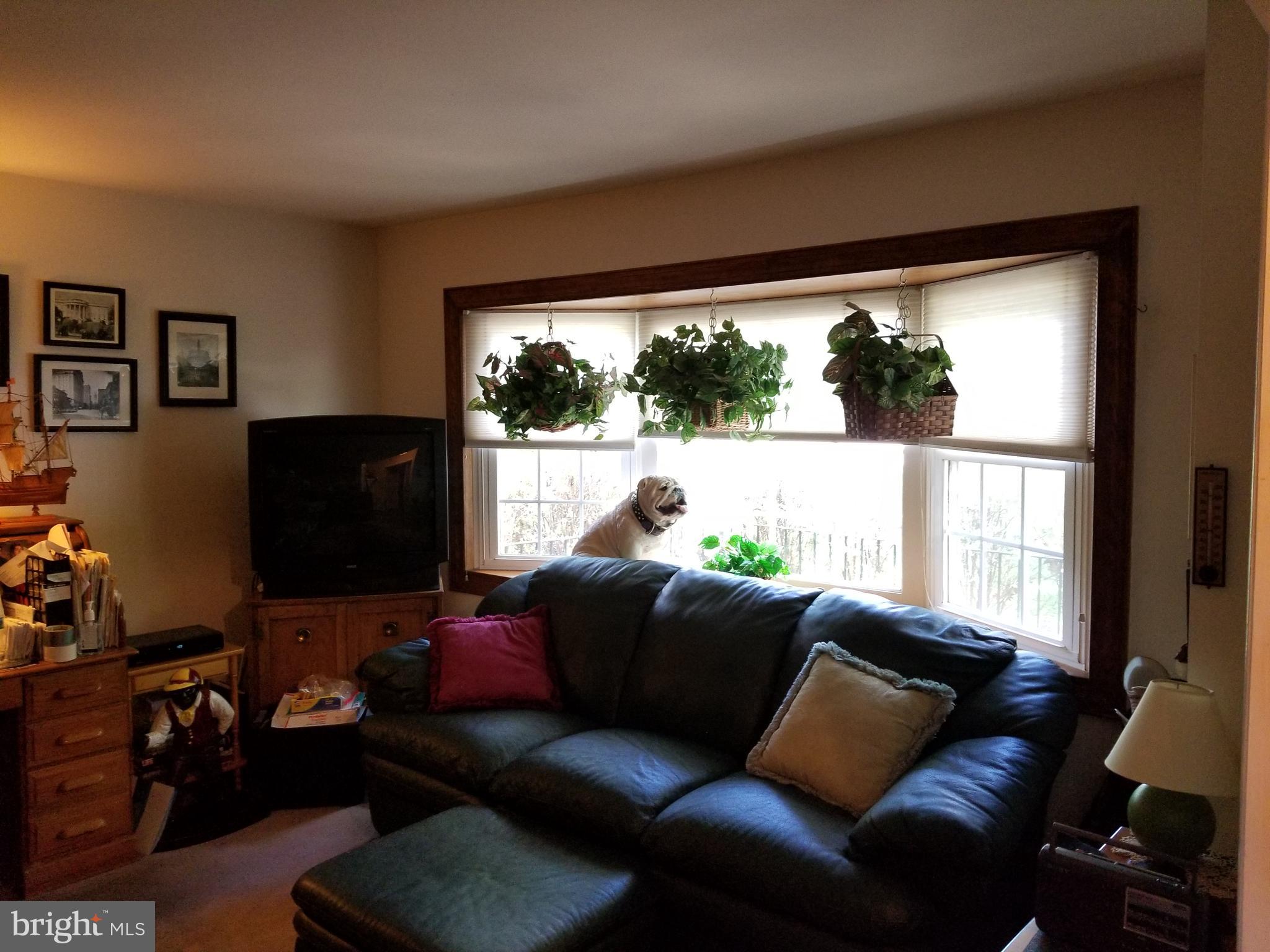 180 Windmill Road Willow Grove, PA 19090 - Photo 18 of 23 Gallery Image 18