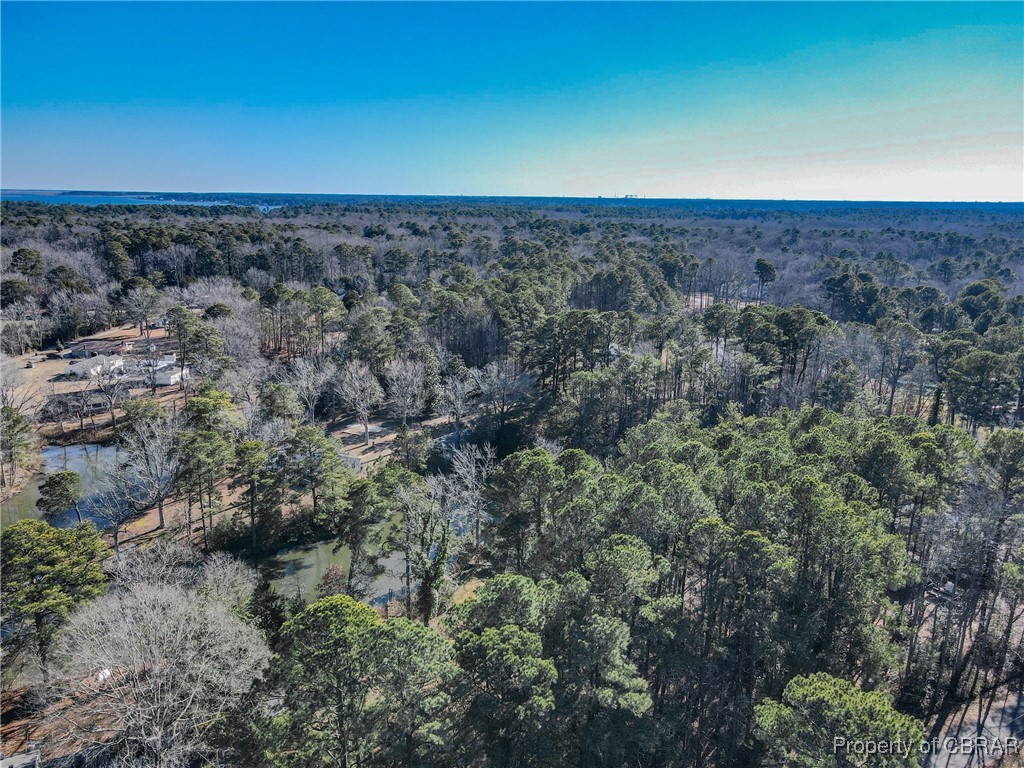 118 Paradise Point Road Yorktown, VA 23692 - Photo 47 of 50 Birds eye view of property