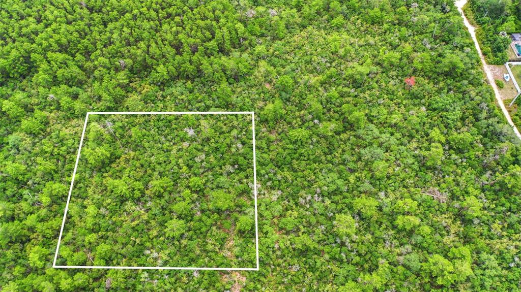 Wolverine (paper) Avenue Deltona, FL 32725 - Photo 16 of 24